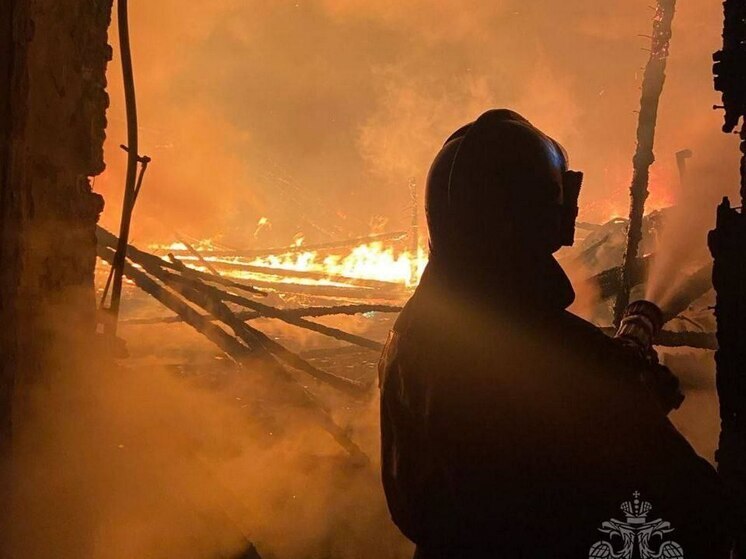 Несколько масштабных пожаров случилось в Липецкой области в выходные