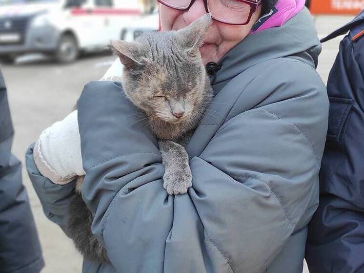 Спасатели в Ногинске помогли снять с дерева домашнюю кошку
