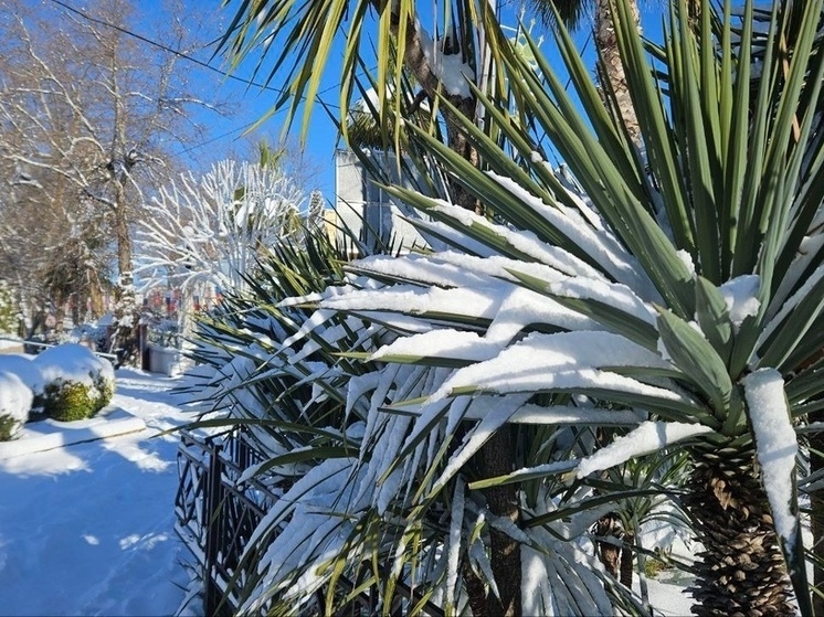 Снегопады в Сочи ожидают в течение следующих двух суток