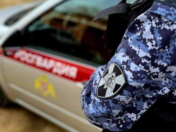 Подозреваемого в краже задержали росгвардейцы в Коломне