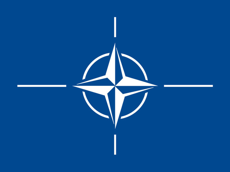 Советник Уолтц: США не видят ситуации, чтобы Украина стала членом НАТО