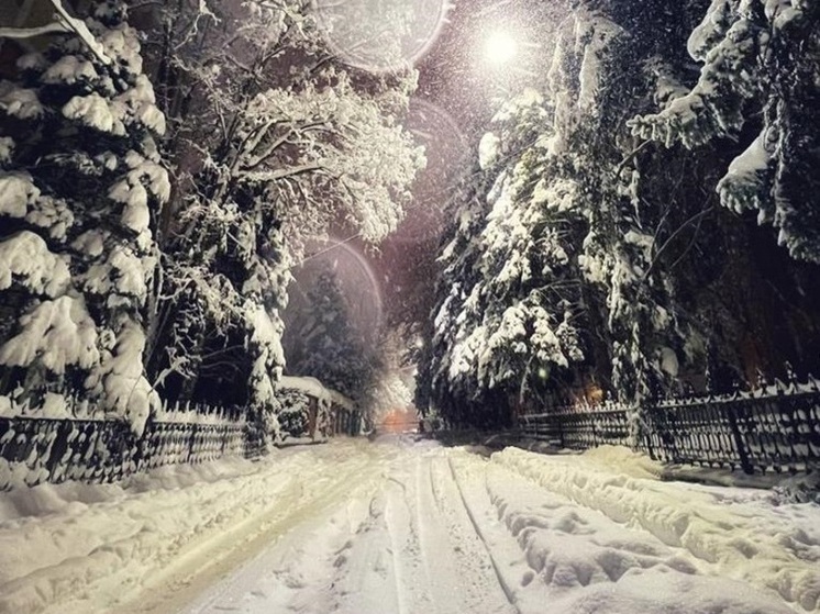 МЧС РФ: в Сочи cпасатели отправились на помощь туристам после схода лавины