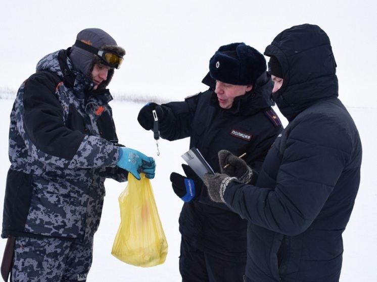 Sul fiume Pechora si sono tenute gare personali di pesca invernale tra i dipendenti del Dipartimento, dedicate al Giorno del Difensore della Patria