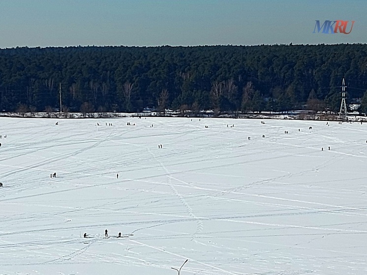 Калужские синоптики прогнозируют ясный февральский день
