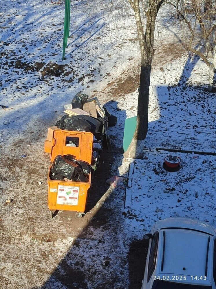 В центре Калуги платная парковка мешает вывозу мусора