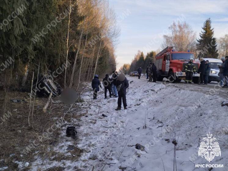 В ДТП под Старицей погиб человек: автомобиль вылетел с дороги