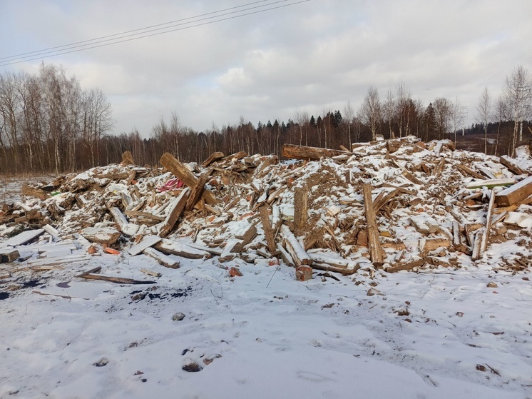 Калужскому градоначальнику показали состояние участков для многодетных близ Заречья