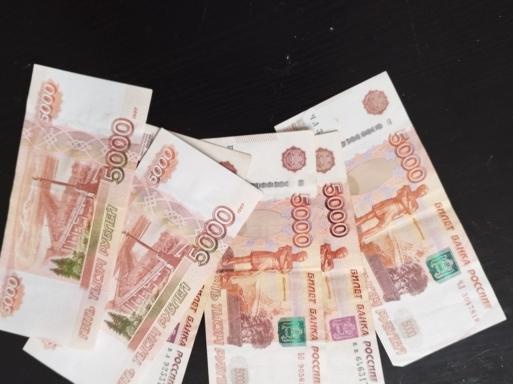 Выборгский горе-отец погасил долги из-за ареста счетов и запрета на выезд