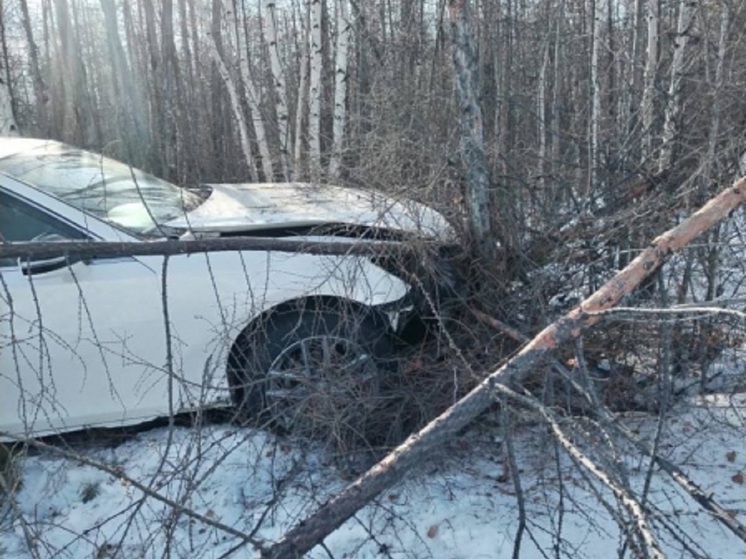 Студенты угнали и разбили Toyota нового знакомого в Могоче