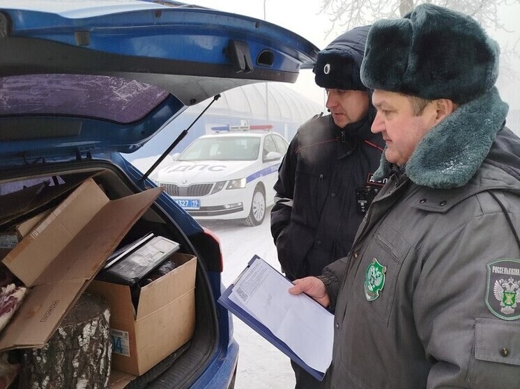 Говядину и свинину везли на абаканскую ярмарку в антисанитарных условиях