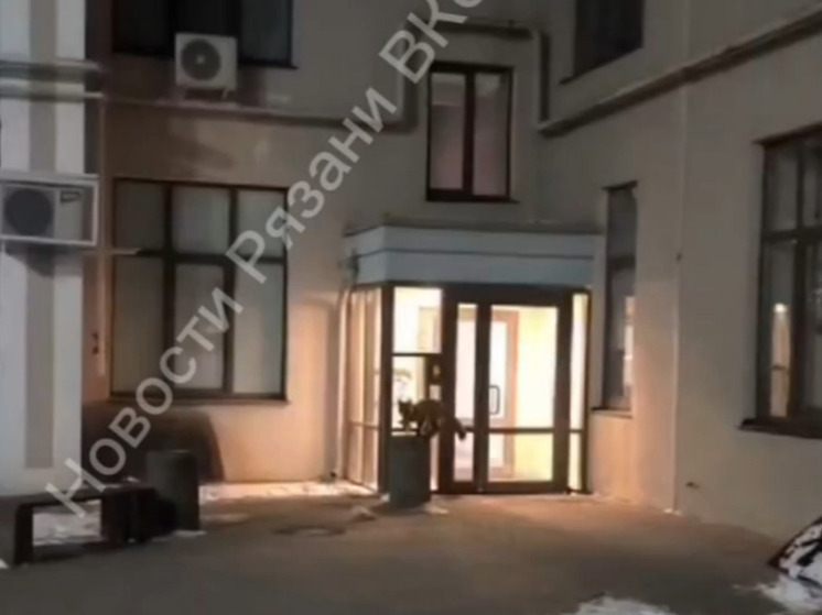 Лису засняли возле подъезда многоэтажки в Рязани