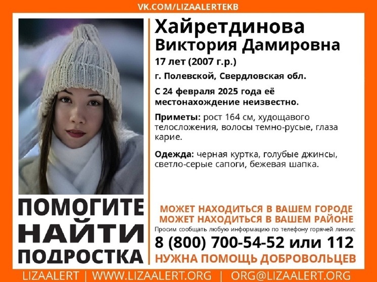 Лиза найден комик фото