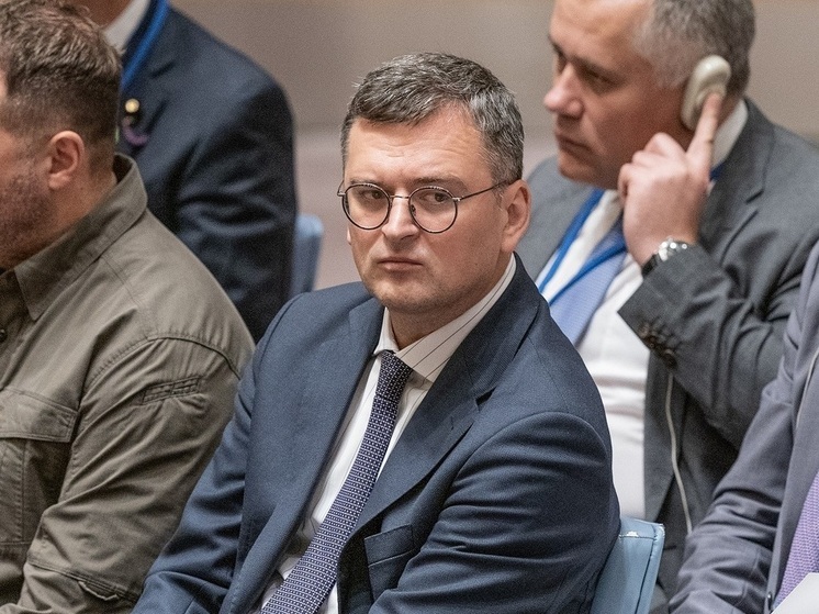 Экс-глава МИД Украины Кулеба: ВСУ почувствуют нехватку оружия на передовой через полгода