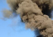 На предприятии, расположенном в деревне Старое Рахино (Крестецкий округ) загорелось оборудование в электрощитовой