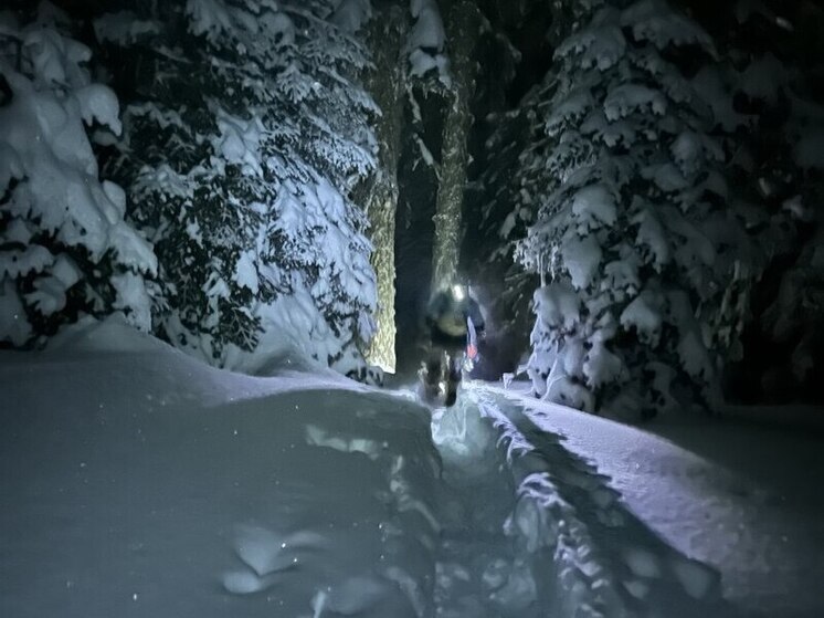 Поиски третьего фрирайдера в Сочи временно приостановлены