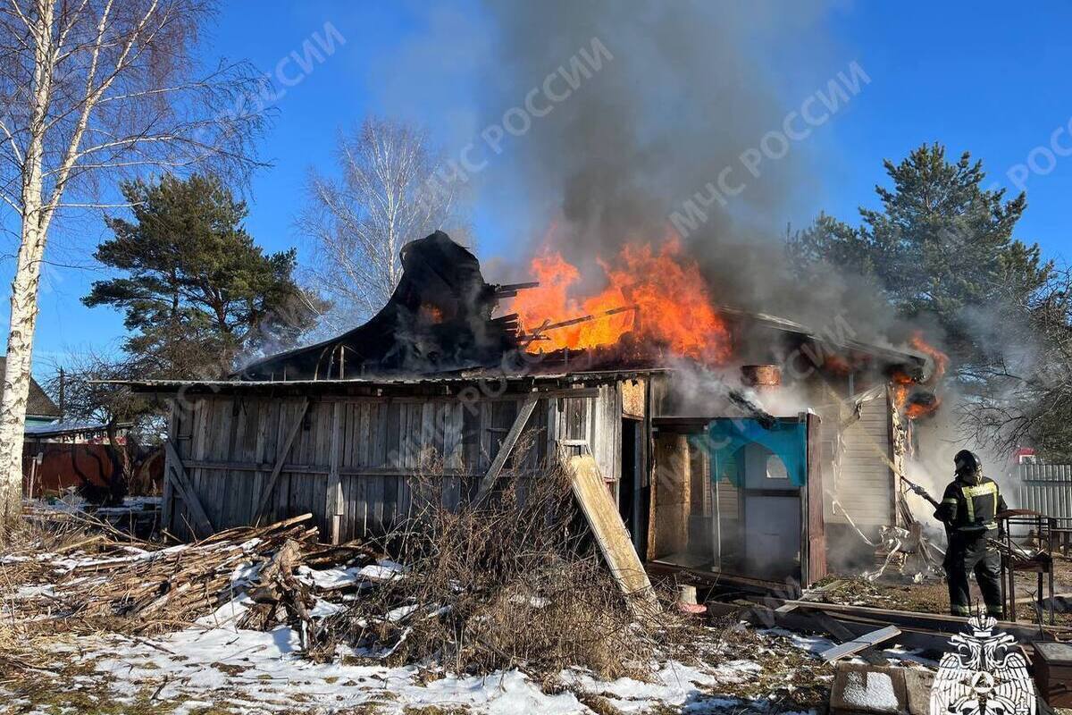 Слитые фото голых школьниц