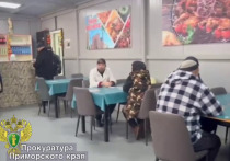 Во Владивостоке судебные приставы приостановили деятельность двух кафе, расположенных на улицах Нейбута и Воропаева, из-за выявленных нарушений санитарных норм и привлечения к работе нелегальных мигрантов