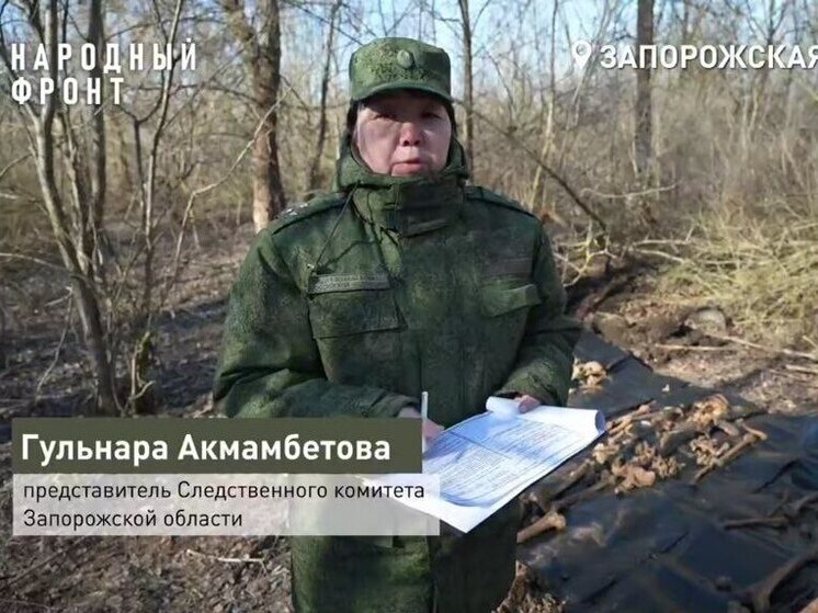 В Запорожской области найдены останки героев Великой Отечественной войны