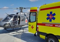 Слаженная командная работа врачей из разных городов Приморья спасла жизнь 11-летнему мальчику, который попал в больницу с тяжелыми травмами после падения с дерева