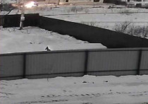 Житель пригорода Великого Новгорода обратился в полицию с заявлением, что ночью неизвестный пытался поджечь его баню и иномарку, сообщила пресс-служба УМВД РФ по Новгородской области