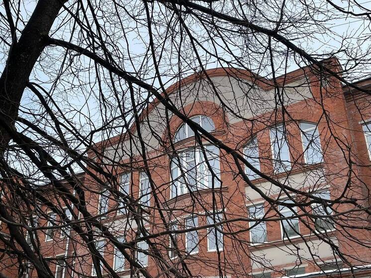 Редкую зимующую птицу заметили на Васильевском острове