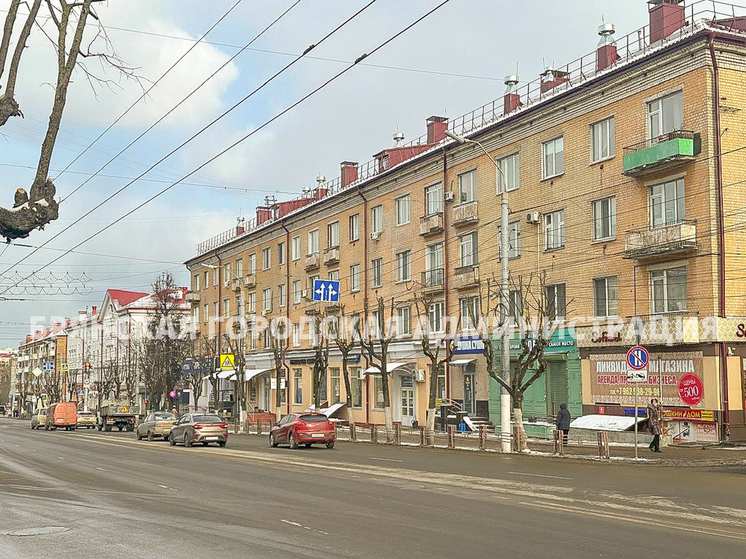 Свыше 700 деревьев кронировали в Брянске с начала года