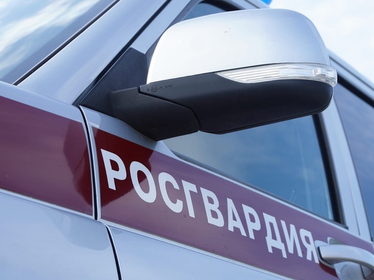 Неадекватных песняров усмирили росгвардейцы в НАО