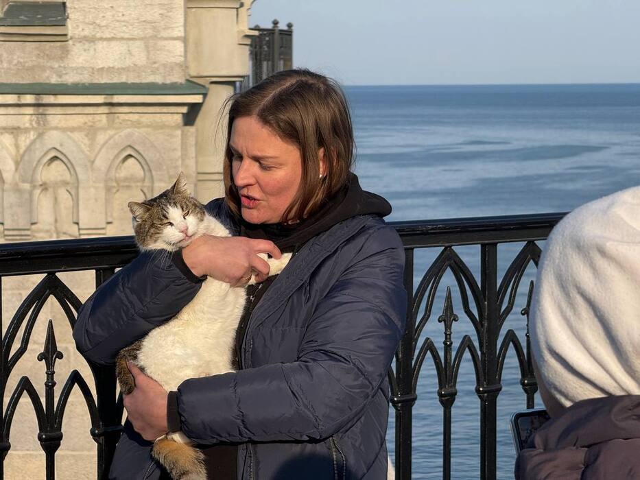 Чудесное спасение: кошка Муся найдена живой на скале Ласточкиного гнезда