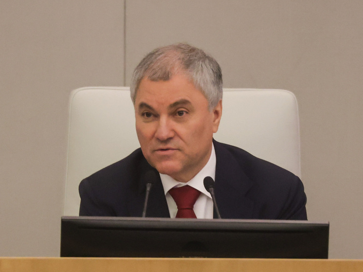 Володин призвал срочно внести законопроект об усыплении бродячих собак: «Как можно быстрее»