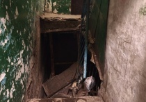 В одном из многоквартирных домов по улице Космонавтов в Великом Новгороде провалилась лестница, ведущая на первый этаж от входной двери подъезда, сообщила в социальных сетях пресс-служба городской администрации