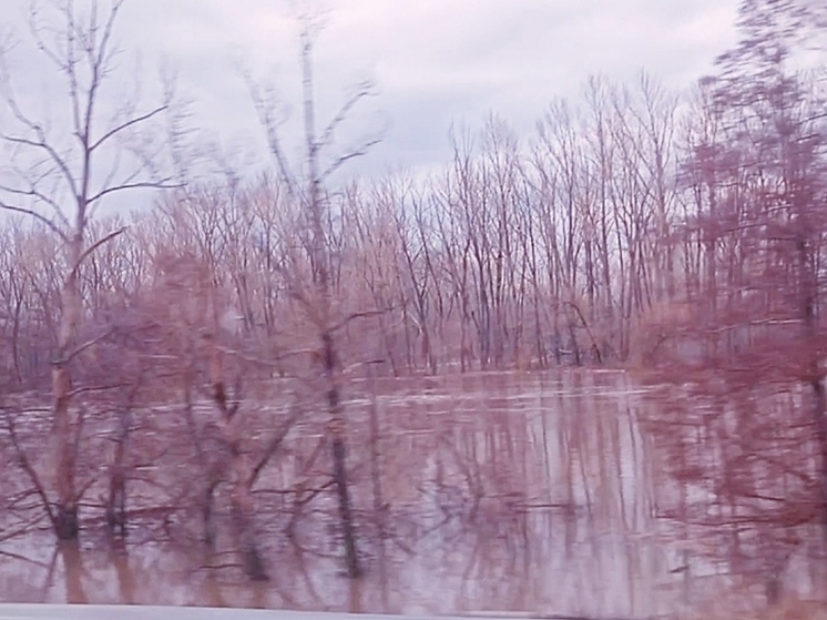 В Оренбургской области вода в Урале продолжает прибывать