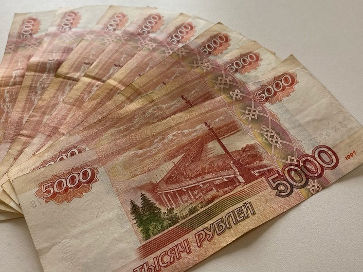 Житель Новосибирской области погасил полумилионую задолженность для поездки в Китай