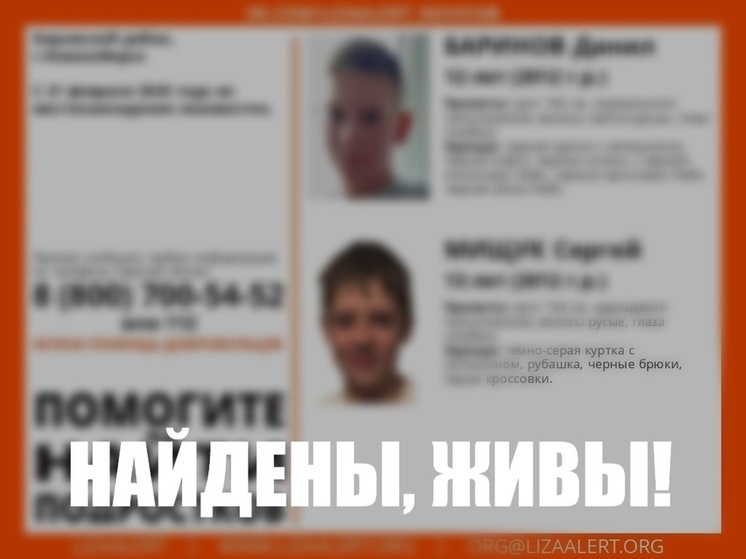 В Новосибирске завершились поиски двух пропавших детей