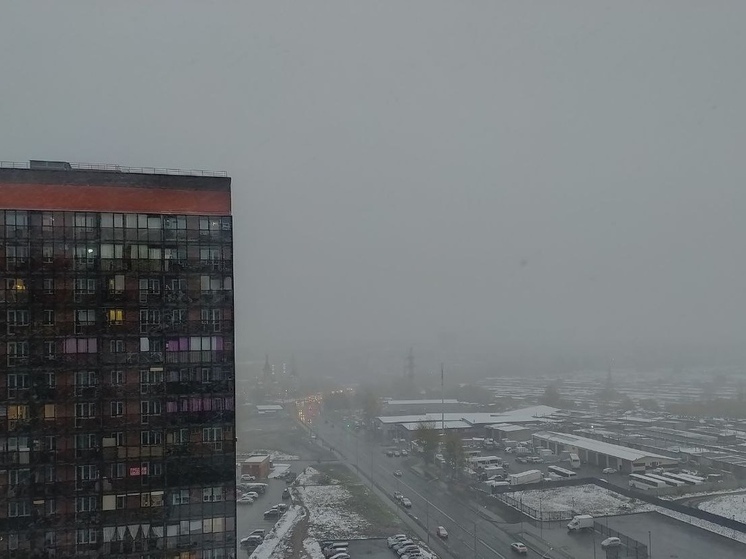 В Новосибирске превышен уровень опасных веществ в воздухе