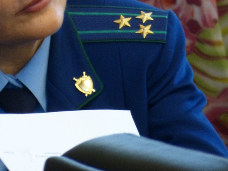 Матери участника СВО предоставили благоустроенную квартиру в Пудоже