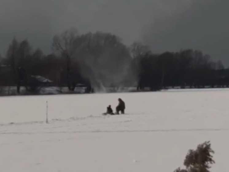 Рыбаки попали в эпицентр снежного торнадо на пруду в Электроуглях
