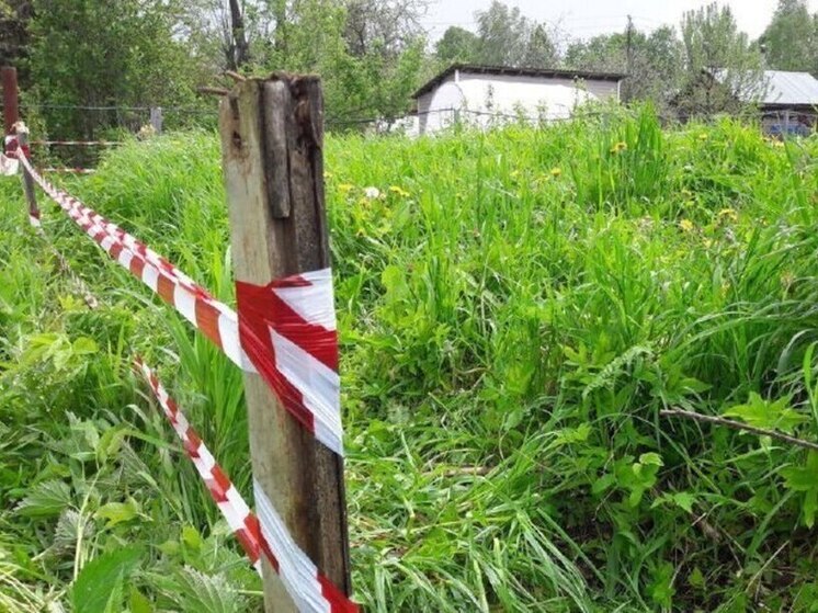 В Серпухове в 2025 году комплексные кадастровые работы проведут за счет средств федерального бюджета