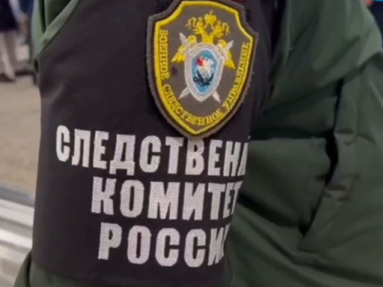 Глава СК потребовал доклад о нападении на жителей Лобни