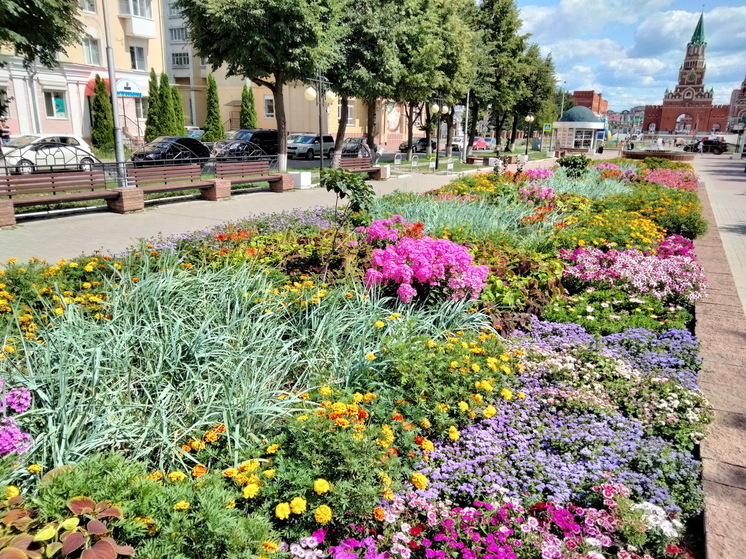 На содержание йошкар-олинских клумб выделено 25 млн рублей