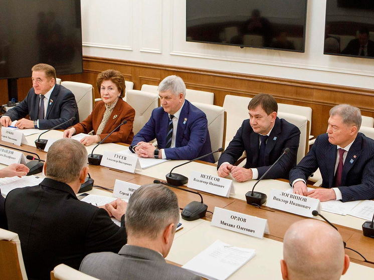 Воронежский опыт социальной поддержки станет примером для других регионов России