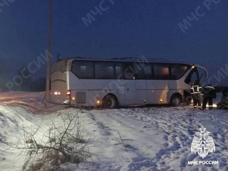 В Тверской области пассажирский автобус съехал с дороги