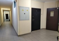 В полицию Всеволожского района Ленобласти местная жительница сообщила, что в одной из квартир дома на улице Шувалова в городе Мурино, трое маленьких детей находятся без присмотра родителей. 