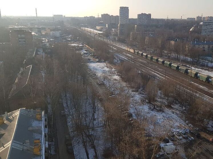 Снег в начале марта ожидается в Подмосковье