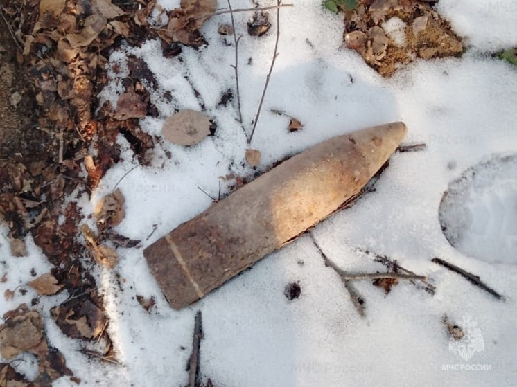 В Жуковской деревне Орехово обезвредили боеприпас