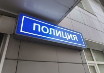 Суд приговорил мужчину к штрафу в размере 40 тысяч рублей за возложение цветов к памятнику писателя Тараса Шевченко в Петербурге. На цветах была желто-голубая лента. Об этом сообщила Объединенная пресс-служба судов города.