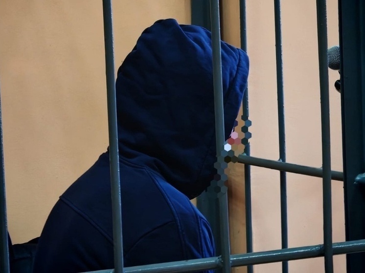 Вяземский районный суд вынес приговор по уголовному делу  в отношении ранее судимого 41-летнего жителя Омской области