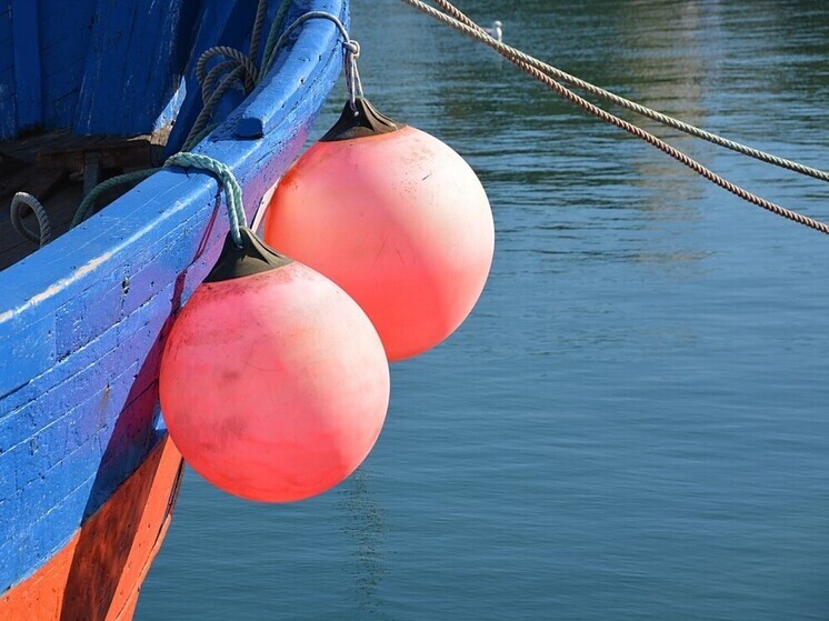 Раскрылись новые подробности о гибели моряка из Приморья на судне «Амфитрита»