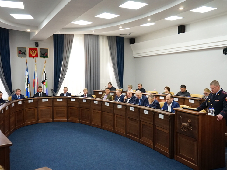 На депутатских слушаниях в думе Иркутска заслушали отчёт о работе полиции