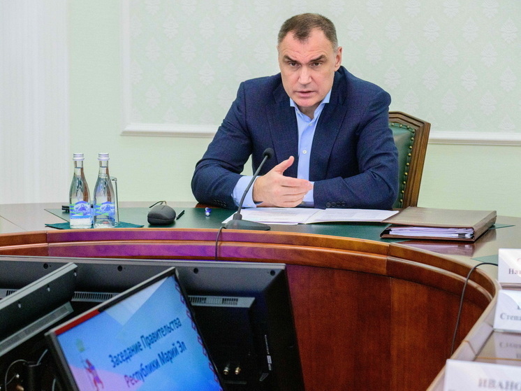 Доходы консолидированного бюджета Марий Эл выросли на 15%