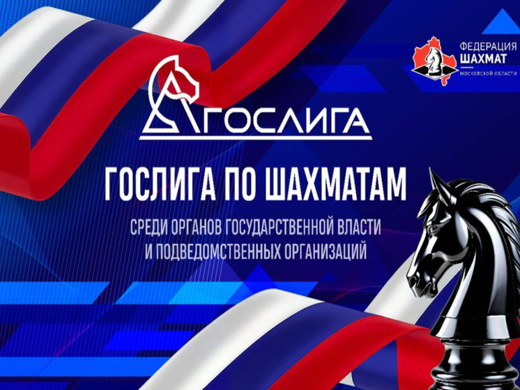 Чукотка заняла седьмое место в Гослиге по онлайн-шахматам